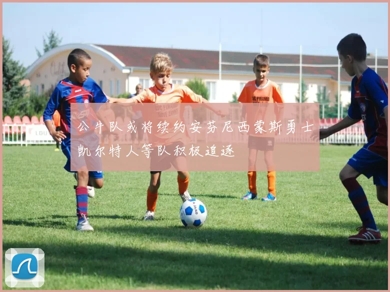 公牛队或将续约安芬尼西蒙斯勇士凯尔特人等队积极追逐